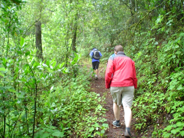 Paseos de senderismo